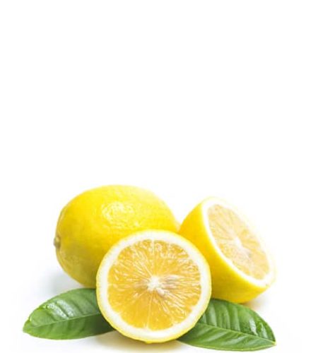 product11-free-img.jpg